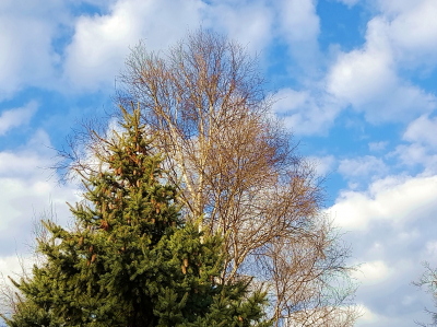 Психическая энергия преображает все виды деятельности. Аппараты и Хранилища Братства